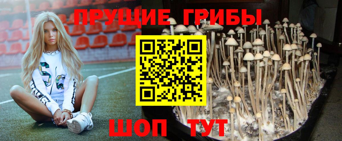 Галлюциногенные грибы прущие грибы Киржач